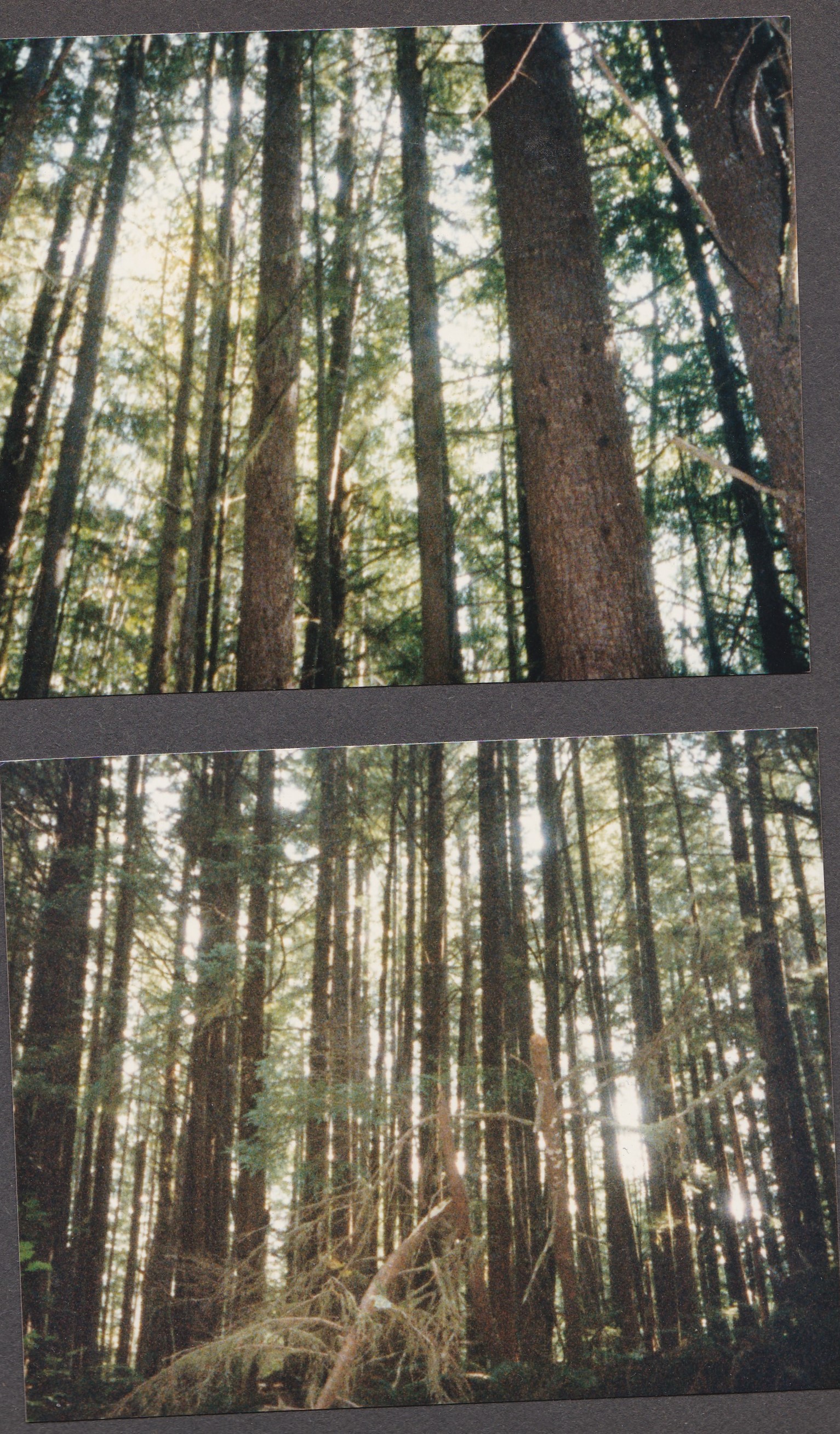 JOHcopyright2018PG4Ascrapbook