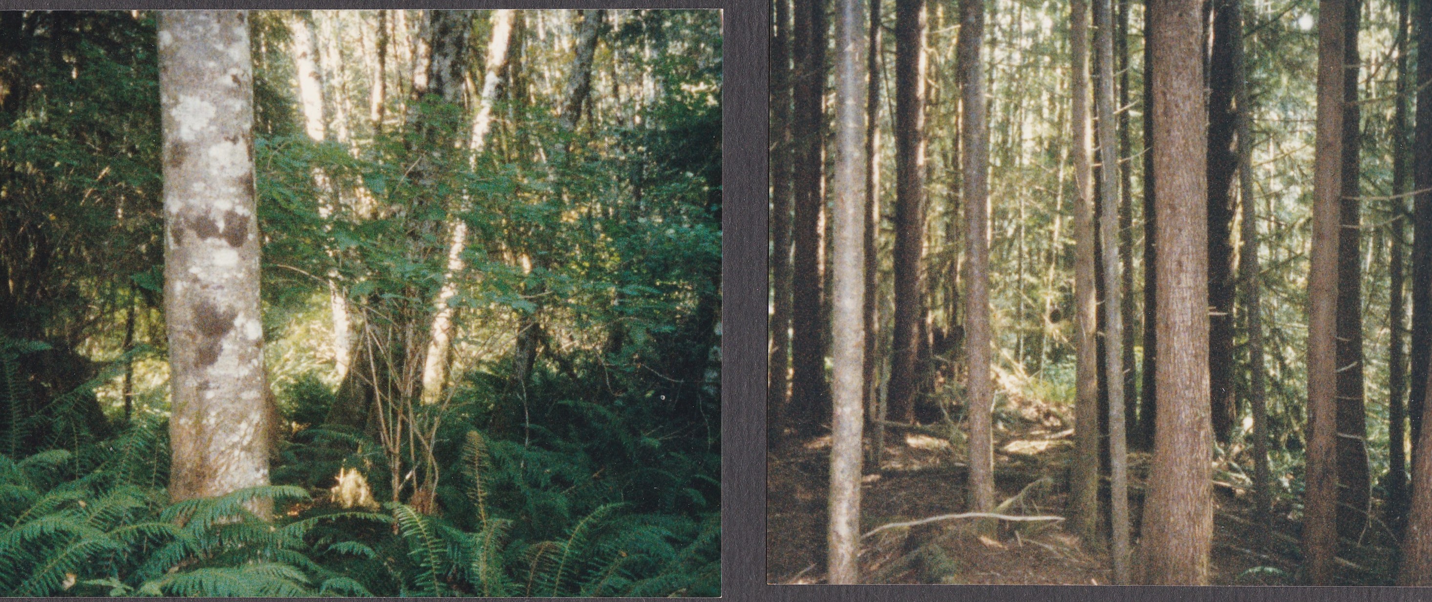 JOHcopyright2018Pg5Bscrapbook